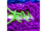 Sew the lines together.