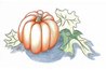 Pumpkin with Dry Shading