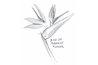 Bird of Paradise value sketch in 6B graphite pencil