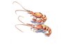 Chitosan comes from the shells of crustaceans like shrimp.