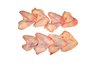 Cleaned chicken wings