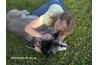 Build a relationship with your dog.