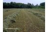 Rake two or three windrows together