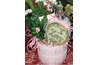 Include your lotion in a pink, festive gift basket for a special girlfriend.
