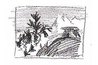 Landscape value thumbnail without mist.