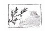 The same landscape value sketch on a foggy day.