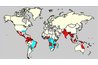 Dengue fever has been resurging in South American populations