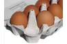Eggs Contain Vitamin A