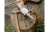 You can shape a basic Roman sword with hammer, tongs and anvil. (image by ukpala@stock.xchang)