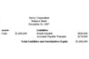 Balance sheet at the time warrants are issued