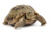 © NIK - Fotolia.com