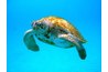 © André Riesenbeck - Fotolia.com