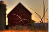 Farm