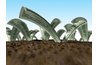 The timing for raw land development is about perfect