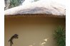 mesh netting can be seen on top - photo by me in Botswana this summer