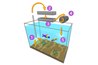 Aquarium setup