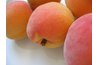 Fresh apricots