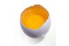 Egg Yolk Mask