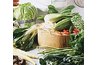 Atkins diet foods to eat include plenty of green. also, keep in mind that fresh vegetables don't have as many carbs as canned.