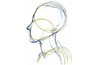 Refining the Profile Sketch