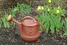 Plants require the optimal amount of water for growth and survival.