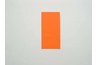 A rectangular piece of origami paper
