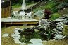 A serene water garden to enjoy