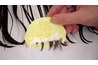 Removing Head Lice (Joanna Ibarra, Photographer, Wiki Commons)