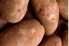 Raw potatos assist in relieving pain by speeding the recovery time (Home-Remedy-For-You)