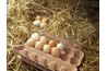 Eggs are rich in Omega-3 fatty acids