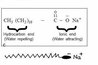The two ends of an anionic surfactant molecule.