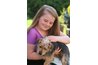 Pictures of Healthy Happy Pets Offer Comfort