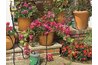 Potted Plants Under Watering Hose