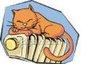 Cat on warm radiator