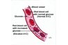 Glycated hemoglobin