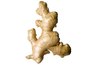 ginger root