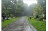 Highgate Cemetery