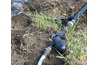 Drip system