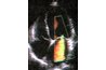 Color Doppler showing mitral regugitation.