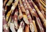Sugar cane is the main source of policosanol.