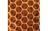Policosanol can be found in beeswax.