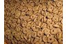 High quality dry dog food