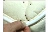 Tell If You Have Bed Bugs