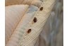 Tell If You Have Bed Bugs