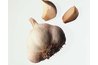 Garlic is an incredibly effective fungus killer