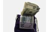 Money Bag
