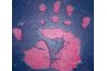 You can make molds using liquid silicone.