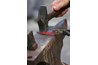 Railroad spikes are heated and hammered to create the knife blade.