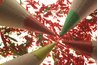 Create special effects by shaping pencil tips.