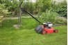 Rotary mowers may have from 3 to 7 horsepower.